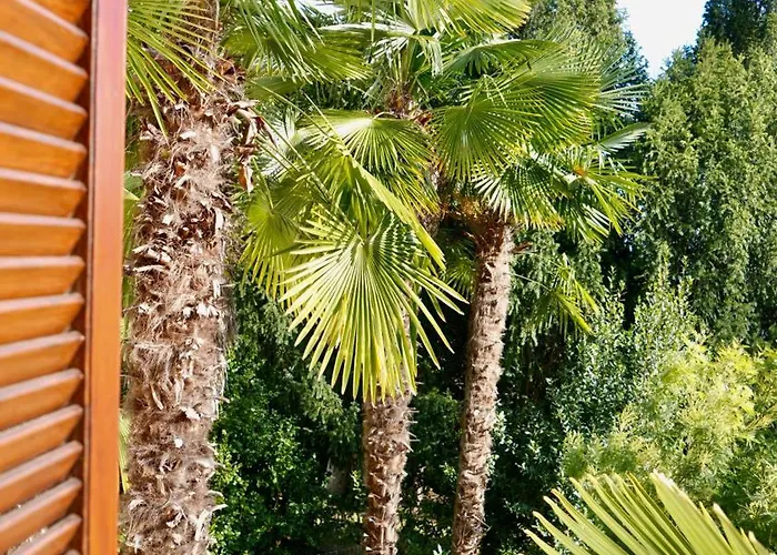 아파트 Palmarea House *